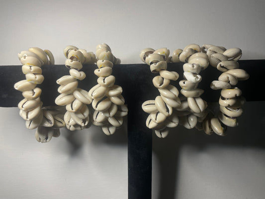 Cowrie Shells